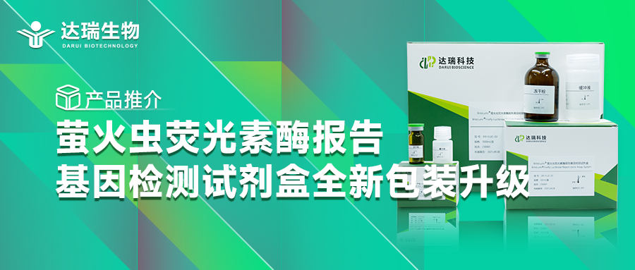 產(chǎn)品推介丨螢火蟲(chóng)熒光素酶報(bào)告基因檢測(cè)試劑盒全新包裝升級(jí)